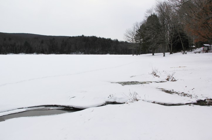 Frozen Tuscarora Lake, State Park, Tuscarora, 1-28-2014 (4)