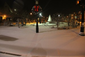Snow, Depot Square Park, Tamaqua, 1-18-2014 (5)