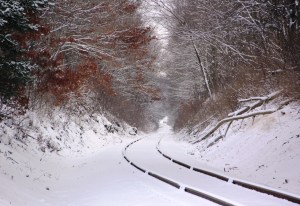 Snow, Train Tracks, Marian Avenue, Rush Township, 1-18-2014 (8)