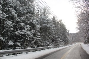 Snow, Trees, Marian Avenue, Rush Township, 1-18-2014 (12)