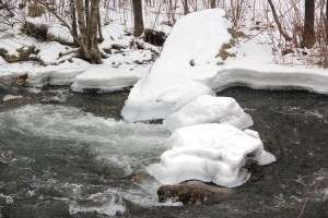 Snow Views, Little Schuylkill River, Tamaqua, 1-26-2014 (2)
