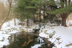 Snow Views, Stonehedge Gardens, South Tamaqua, 1-26-2014 (14)