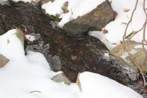 Snow Views, Stonehedge Gardens, South Tamaqua, 1-26-2014 (17)