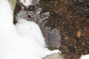 Snow Views, Stonehedge Gardens, South Tamaqua, 1-26-2014 (18)