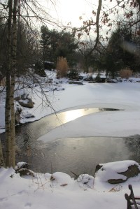 Snow Views, Stonehedge Gardens, South Tamaqua, 1-26-2014 (23)