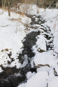 Snow Views, Stonehedge Gardens, South Tamaqua, 1-26-2014 (25)