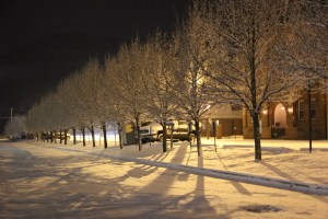 Trees, Train Tracks, S. Railroad Street, Snow, Tamaqua, 1-18-2014 (1)