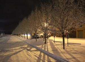 Trees, Train Tracks, S. Railroad Street, Snow, Tamaqua, 1-18-2014 (5)