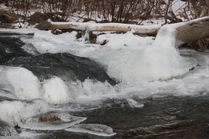 Views of Little Schuylkill River, along Taggertsville Road, Tuscarora Park Rd, Tamaqua (11)