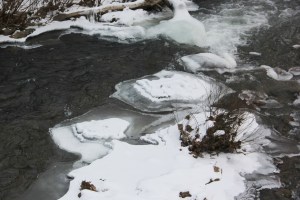 Views of Little Schuylkill River, along Taggertsville Road, Tuscarora Park Rd, Tamaqua (3)