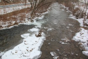 Views of Little Schuylkill River, along Taggertsville Road, Tuscarora Park Rd, Tamaqua (6)