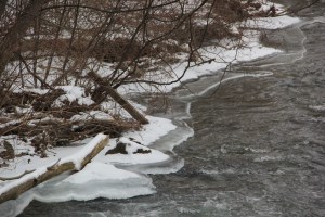 Views of Little Schuylkill River, along Taggertsville Road, Tuscarora Park Rd, Tamaqua (7)
