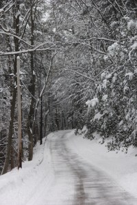Hometown Hill, Snow, Tamaqua, 2-13-2014 (18)