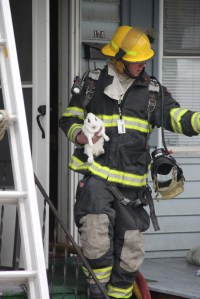 Firefighter John Yurdock carries a white rabbit out of 174 Kimber Street.