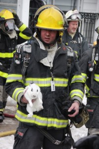 Firefighter John Yurdock carries a white rabbit out of 174 Kimber Street.