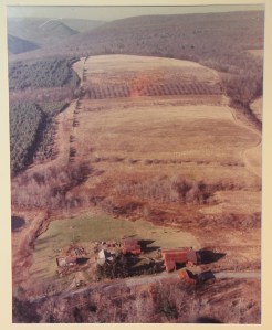 Pre-Event Story Photos, Stonehedge Gardens, South Tamaqua, 2-21-2014 (89)