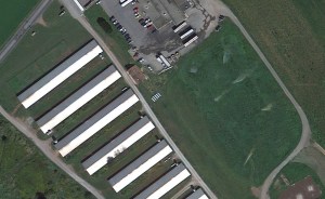As seen from this Google Maps Imagery, the propane tanks are not located near and structure or roads.