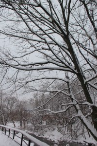 Snow, Tamaqua River Walk, Tamaqua, 2-13-2014 (13)