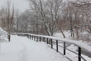 Snow, Tamaqua River Walk, Tamaqua, 2-13-2014 (15)