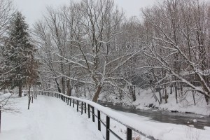 Snow, Tamaqua River Walk, Tamaqua, 2-13-2014 (3)
