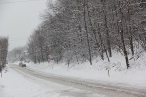 Snow Views, Coaldale, 2-3-2014 (46)