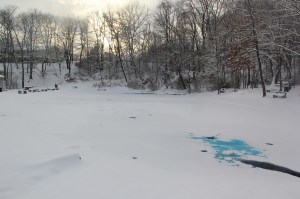 Snow Views, Kellner's Dam, Tamaqua, 2-3-2014 (14)