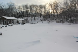 Snow Views, Kellner's Dam, Tamaqua, 2-3-2014 (16)