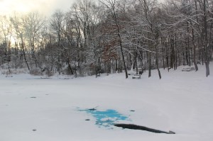 Snow Views, Kellner's Dam, Tamaqua, 2-3-2014 (18)