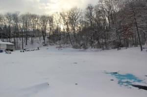 Snow Views, Kellner's Dam, Tamaqua, 2-3-2014 (19)