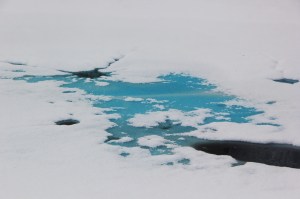 Snow Views, Kellner's Dam, Tamaqua, 2-3-2014 (20)
