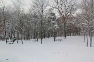 Snow Views, Kellner's Dam, Tamaqua, 2-3-2014 (21)