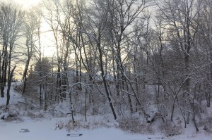 Snow Views, Kellner's Dam, Tamaqua, 2-3-2014 (24)