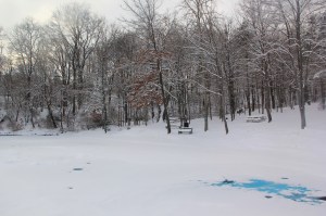 Snow Views, Kellner's Dam, Tamaqua, 2-3-2014 (25)