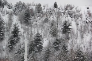Snow Views, Mountains, Tamaqua, 2-15-2014 (1)