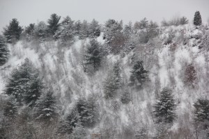 Snow Views, Mountains, Tamaqua, 2-15-2014 (7)
