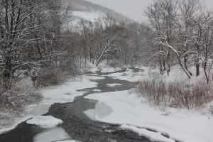 Snow Views of the Little Schuylkill River, Tamaqua, 2-13-2014 (3)