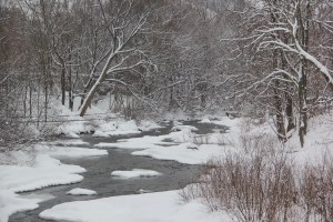 Snow Views of the Little Schuylkill River, Tamaqua, 2-13-2014 (5)
