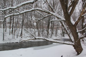 Snow Views of the Little Schuylkill River, Tamaqua, 2-13-2014 (9)