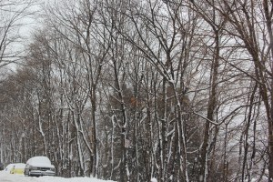 Snow Views of the Tamaqua Streets, Tamaqua, 2-13-2014 (37)