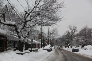 Snow Views, Tamaqua, 2-15-2014 (18)