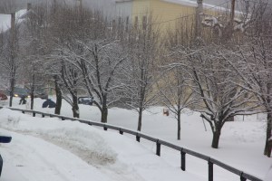 Snow Views, Tamaqua, 2-15-2014 (4)