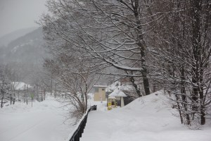 Snow Views, Tamaqua, 2-15-2014 (7)