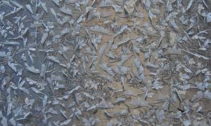 PHOTO TAKEN BY VALERIE FOGARTY Surface frost on a wooden porch railing in West Penn Township.
