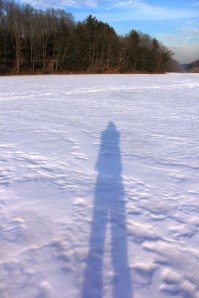 Views On the Ice, Lake, State Park, Tuscarora, 2-1-2014 (20)