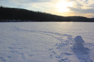 Views On the Ice, Lake, State Park, Tuscarora, 2-1-2014 (29)