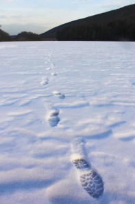 Views On the Ice, Lake, State Park, Tuscarora, 2-1-2014 (52)