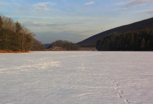 Views On the Ice, Lake, State Park, Tuscarora, 2-1-2014 (60)