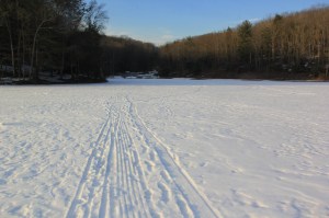 Views On the Ice, Lake, State Park, Tuscarora, 2-1-2014 (74)