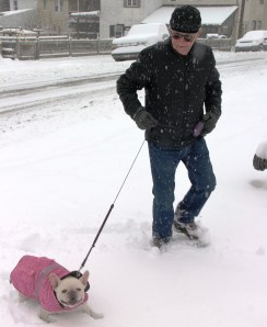 Walking His Dog, Dutch Hill, Tamaqua, 2-3-2014 (1)