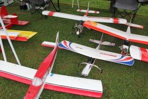 Aeroama, Tuscarora Flying Club, Flying Field, Tuscarora State Park, Barnesville, 8-18-2013 (103)